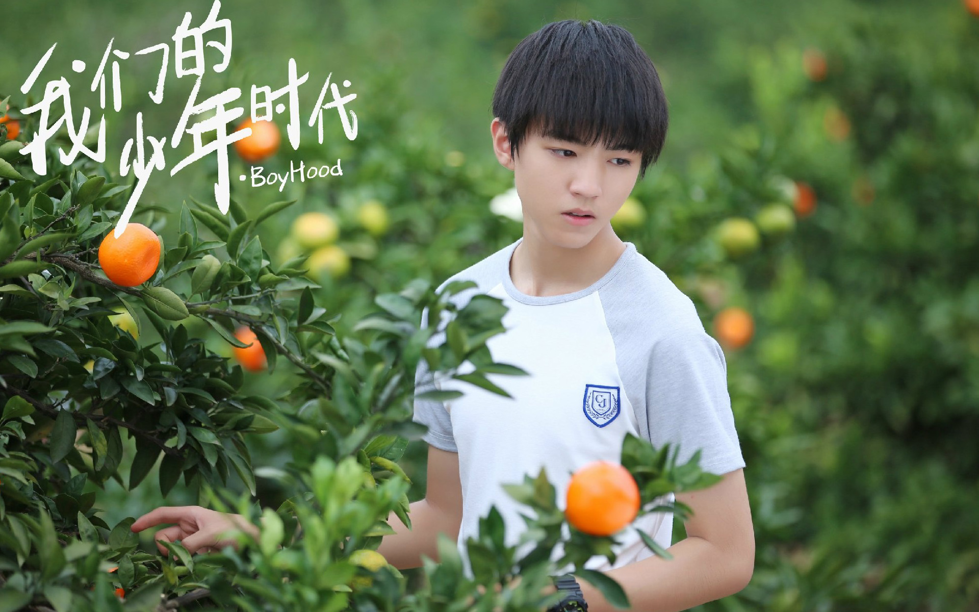 tfboys图片