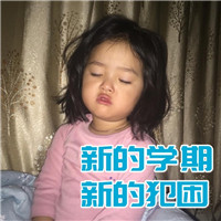可爱猫咪带字表情包图片图片