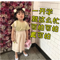 可爱猫咪带字表情包图片图片