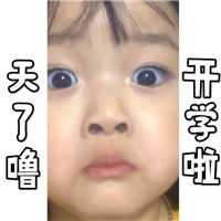 可爱猫咪带字表情包图片图片
