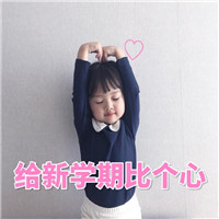 可爱猫咪带字表情包图片图片
