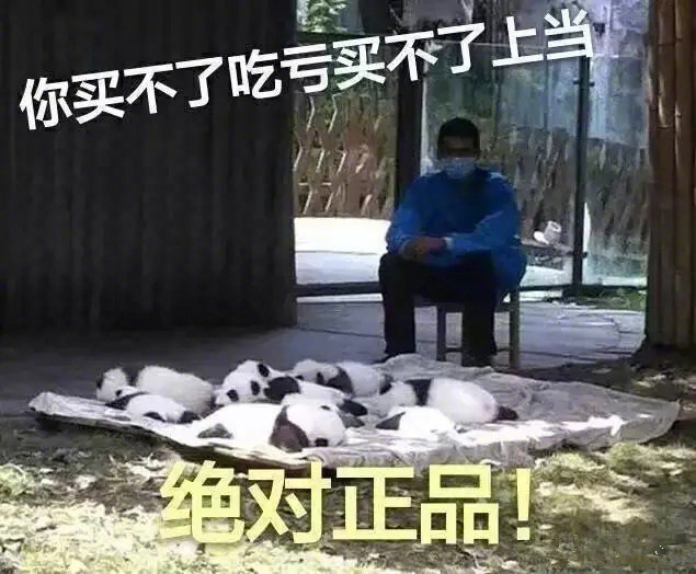 金馆长熊猫系列微信最新表情包 骚年来一发！图片