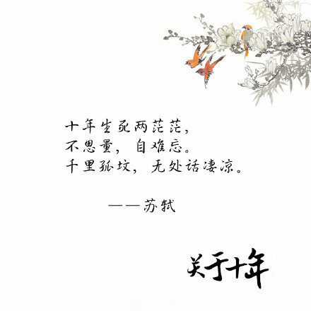 关于十年的古诗词唯美文字图片图片