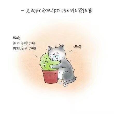 情感文字图片 小清新心情配图文图片图片