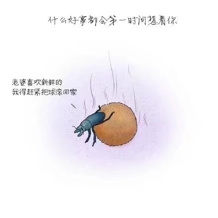 文字图片