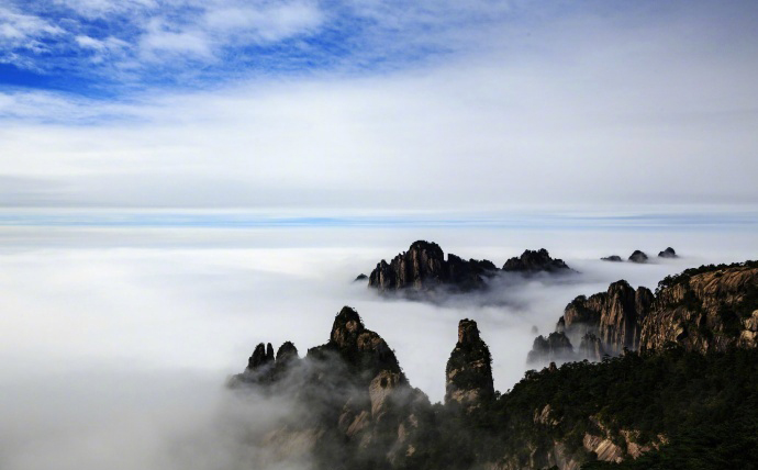 唯美秋季落叶景色图片手机壁纸图片