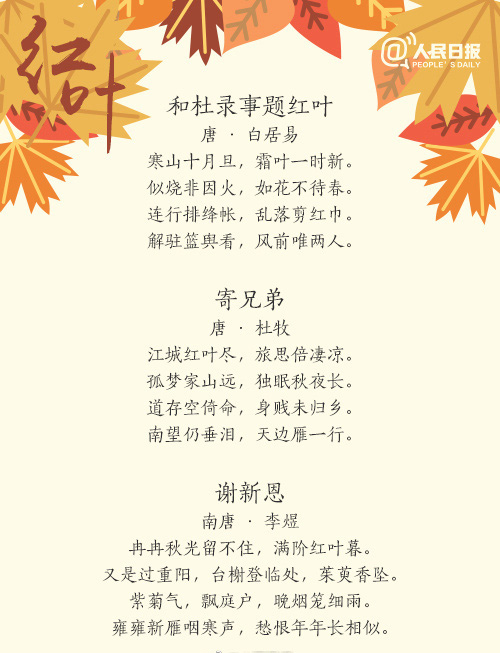 唯美暖心的文字语录图片图片