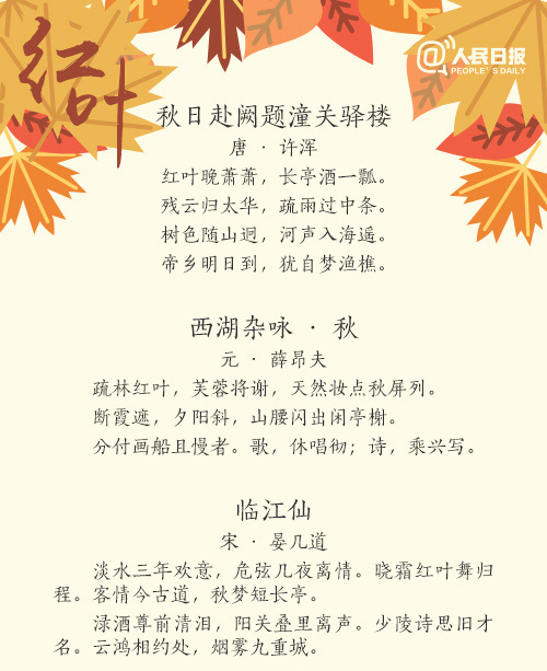 孤独勇气人生爱情心情文字语录图片图片