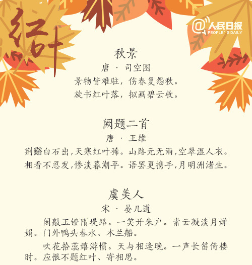 唯美暖心的文字语录图片图片