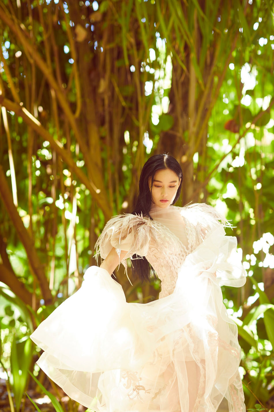 张馨予性感长裙礼服高清图片图片