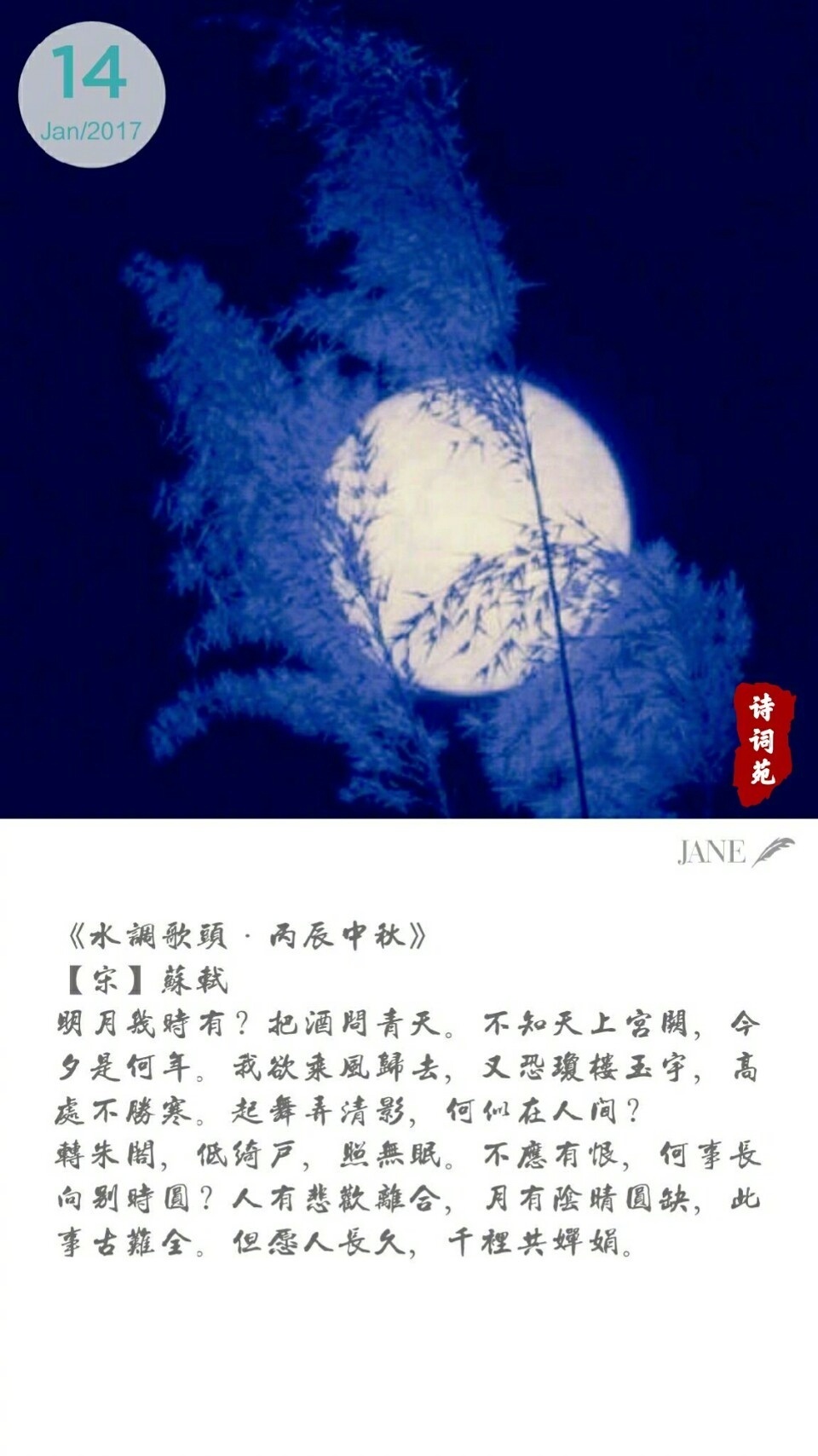 文字图片