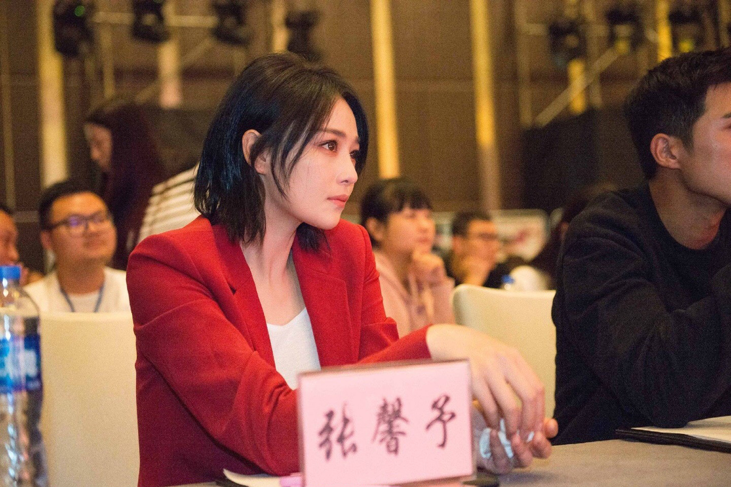 张馨予与猫共舞写真图片图片