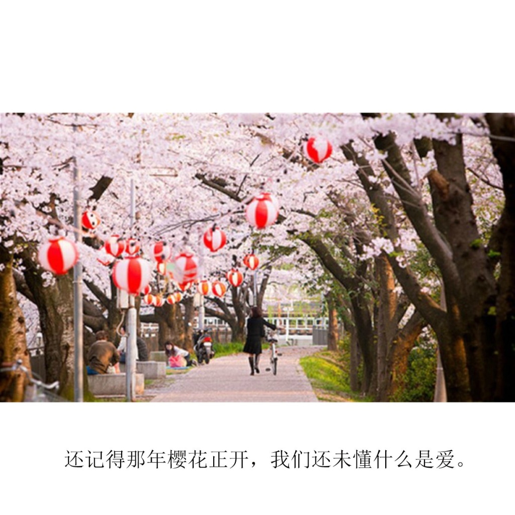顾城简单戳心的语句文字图片图片