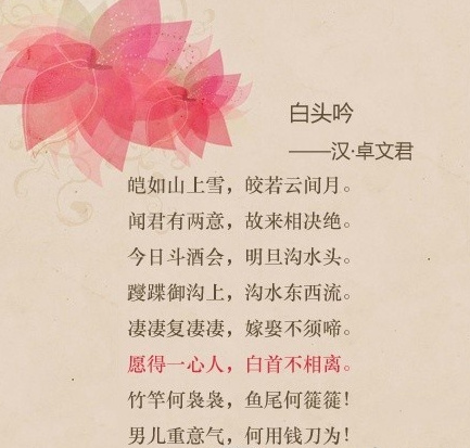 顾城简单戳心的语句文字图片图片