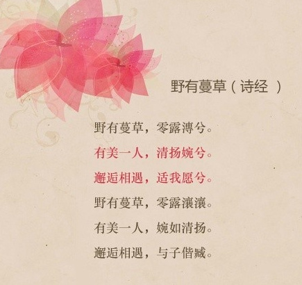 孤独勇气人生爱情心情文字语录图片图片