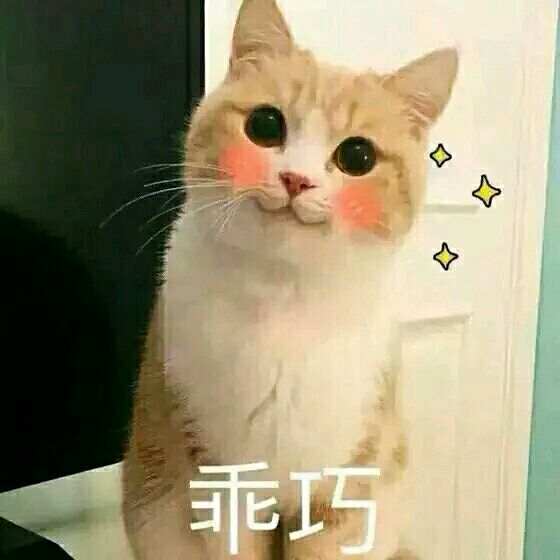 孙艺洲宠物世界萌宠时尚写真图片