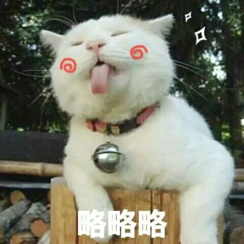 孙艺洲宠物世界萌宠时尚写真图片
