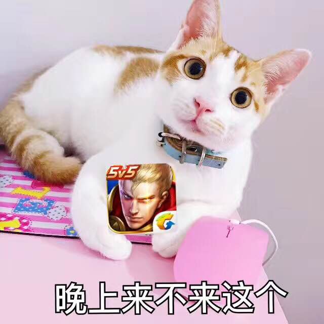 孙艺洲宠物世界萌宠时尚写真图片
