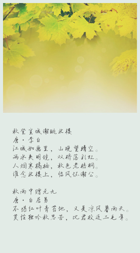 感情文字图片 爱情感文字表情包图片图片