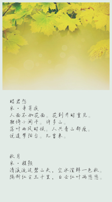 用东野圭吾的方式说爱你唯美文字图片图片