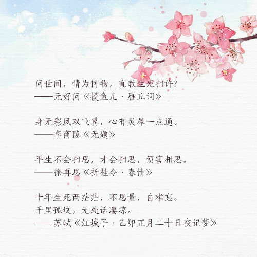 关于十年的古诗词唯美文字图片图片