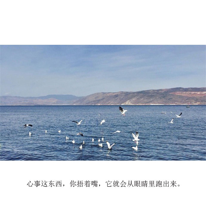 图片分享：带着相机带着爱人让心情去旅行!图片