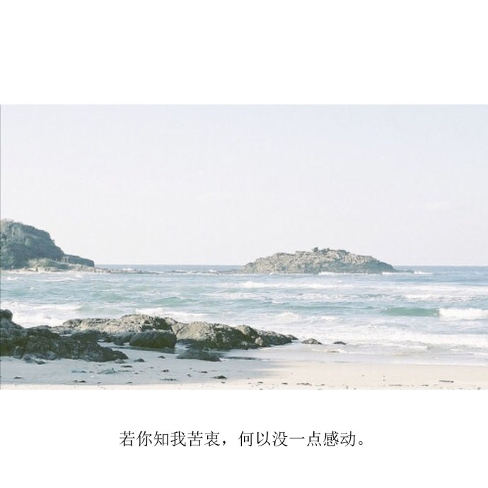 那英潮装现身机场 一路热聊心情好图片