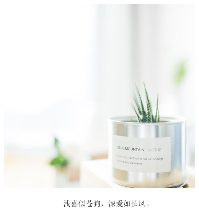 唯美暖心的文字语录图片图片