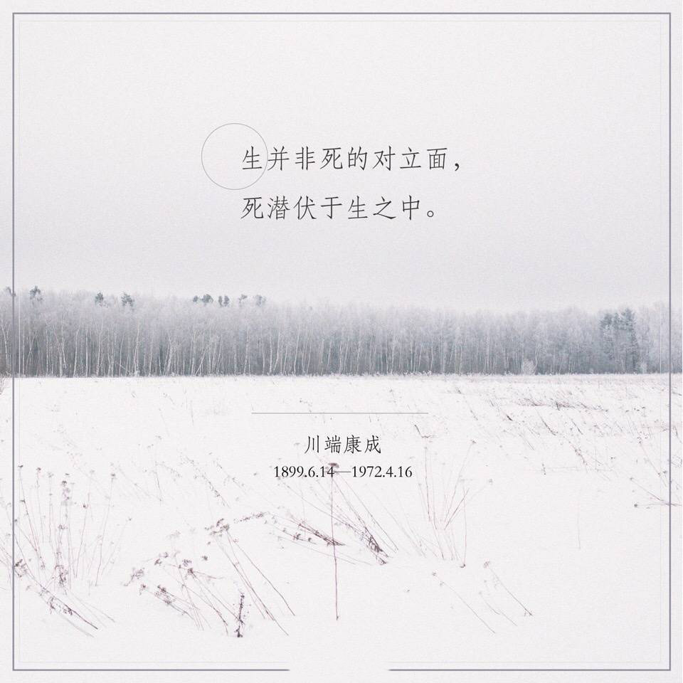 顾城简单戳心的语句文字图片图片
