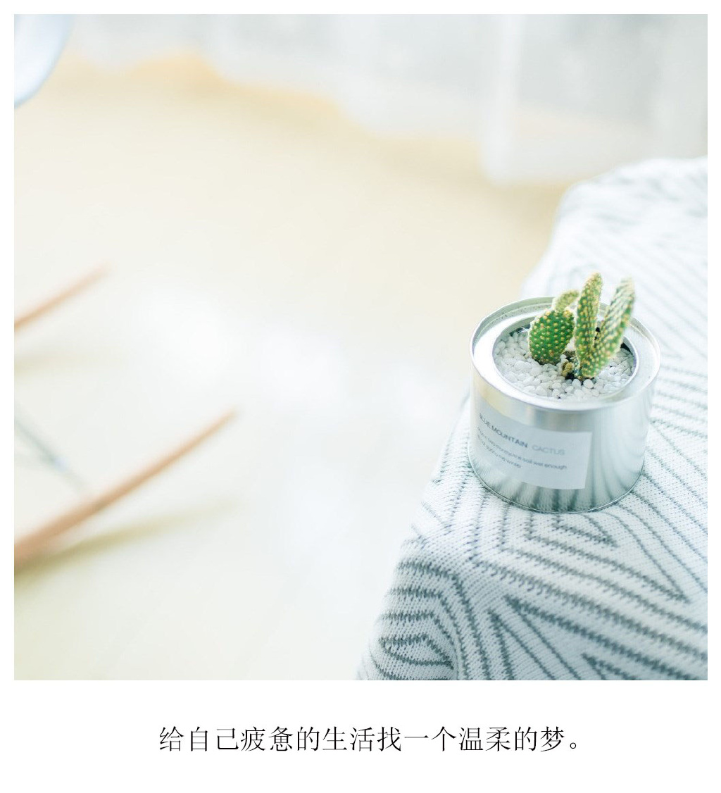 小清新图片文字语录图片图片