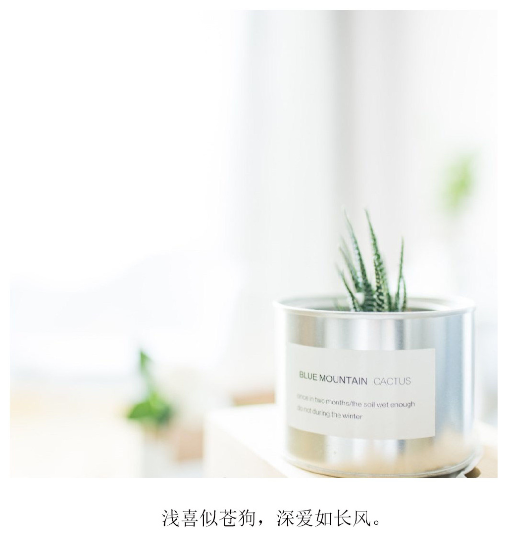 顾城简单戳心的语句文字图片图片