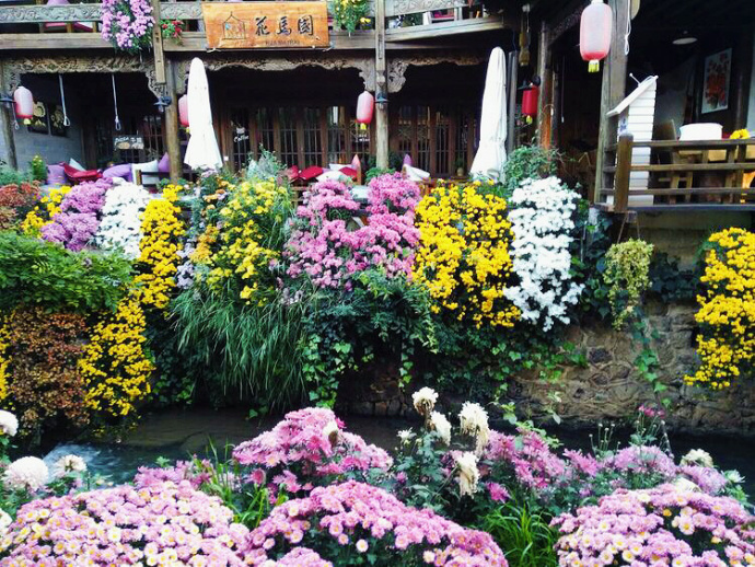 清新护眼自然风光图片图片