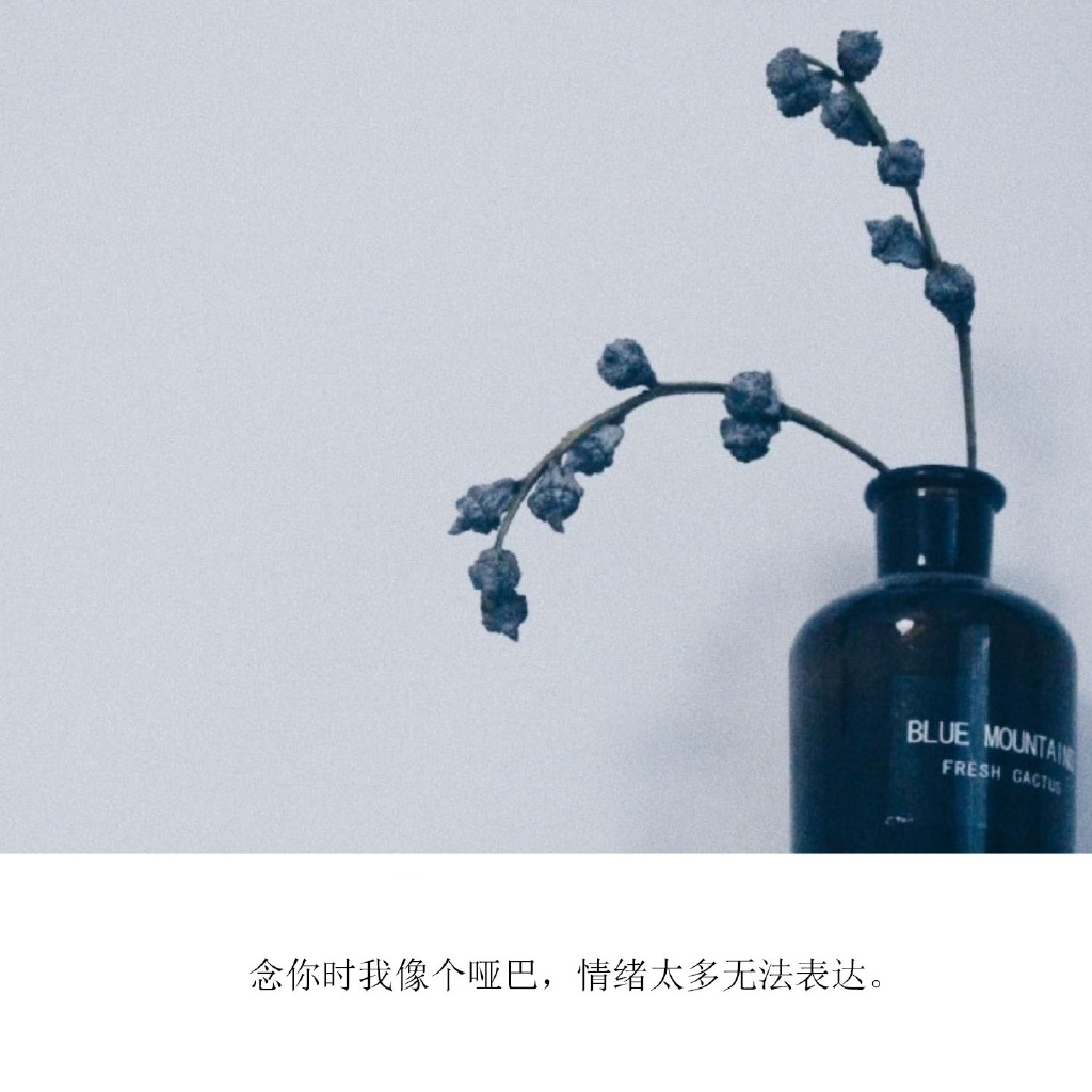 情感文字图片 小清新心情配图文图片图片
