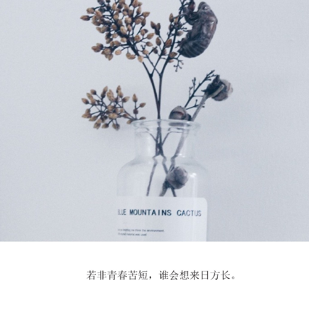 情感文字图片 小清新心情配图文图片图片