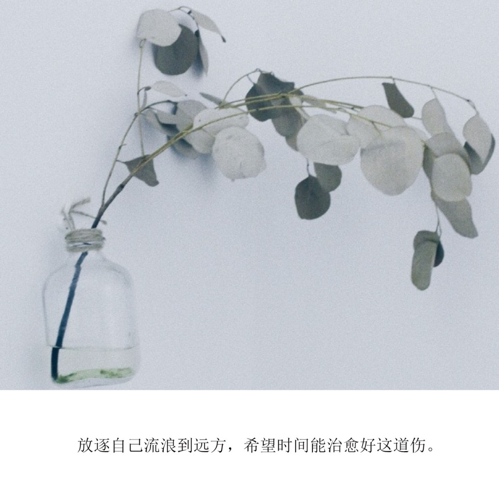 情感文字图片 小清新心情配图文图片图片