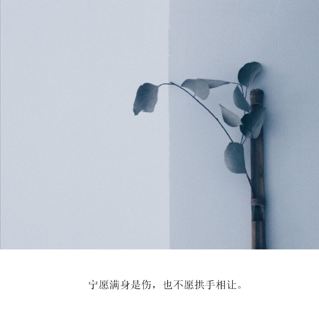 情感文字图片 小清新心情配图文图片图片