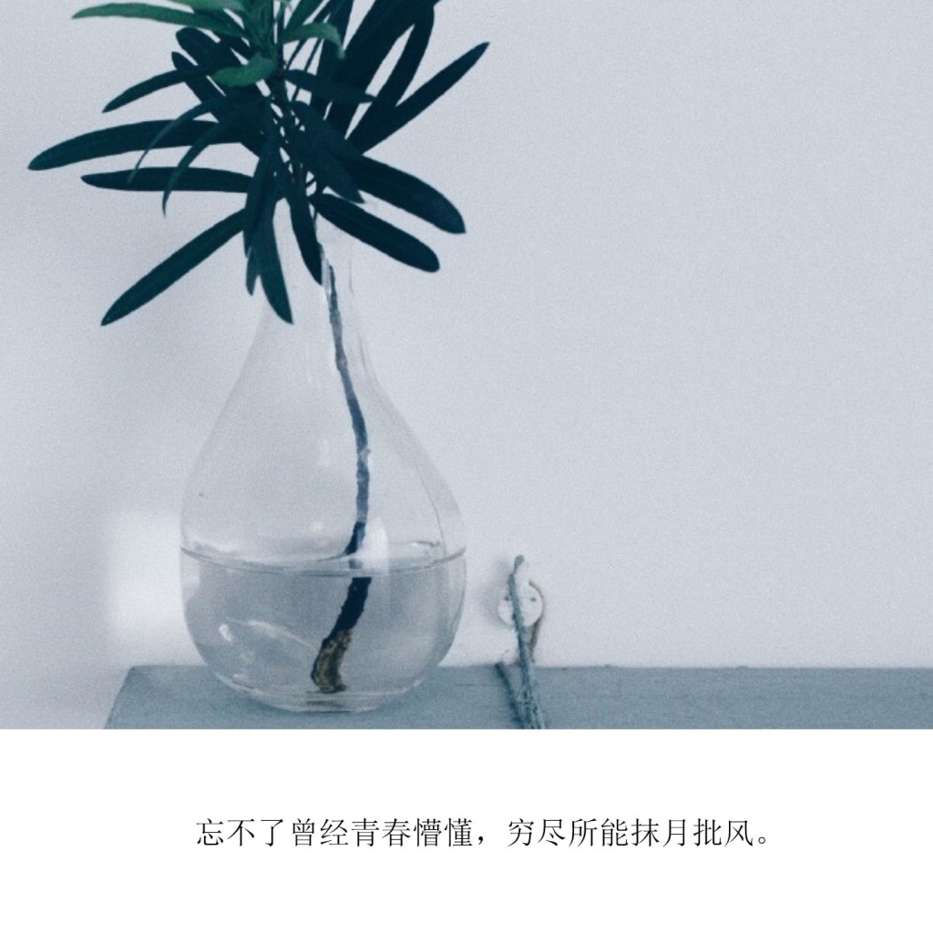 情感文字图片 小清新心情配图文图片图片