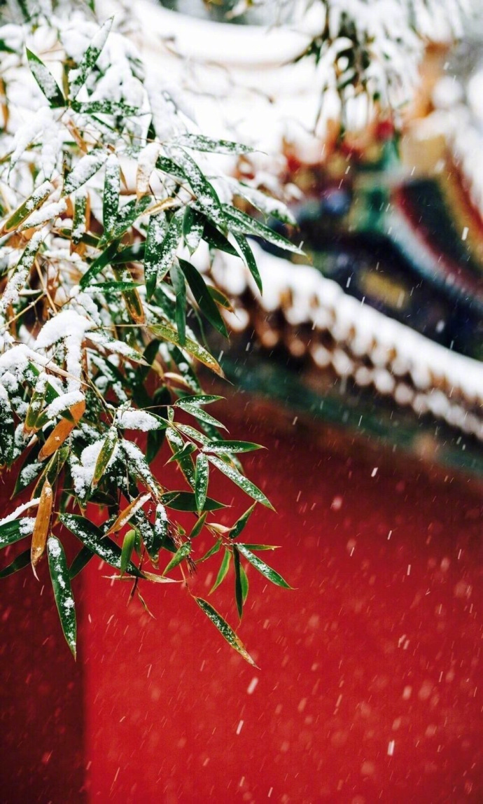 冬至节气唯美雪景壁纸图片图片