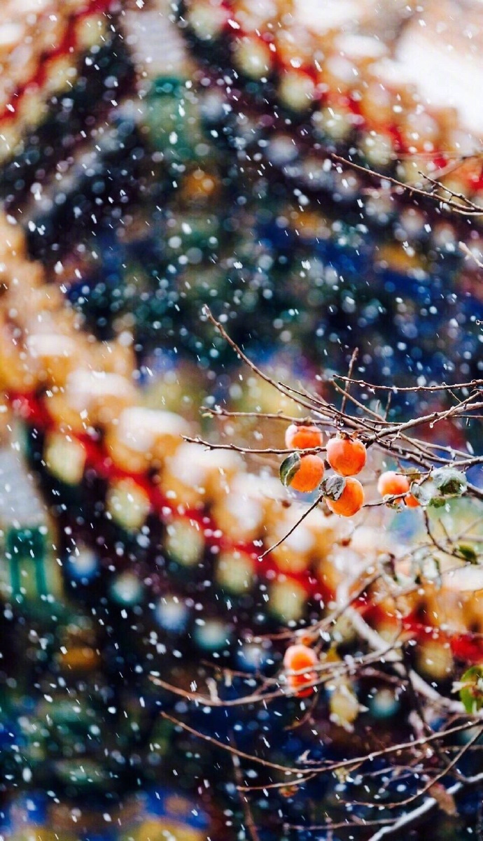冬天雪景唯美手机壁纸图片图片