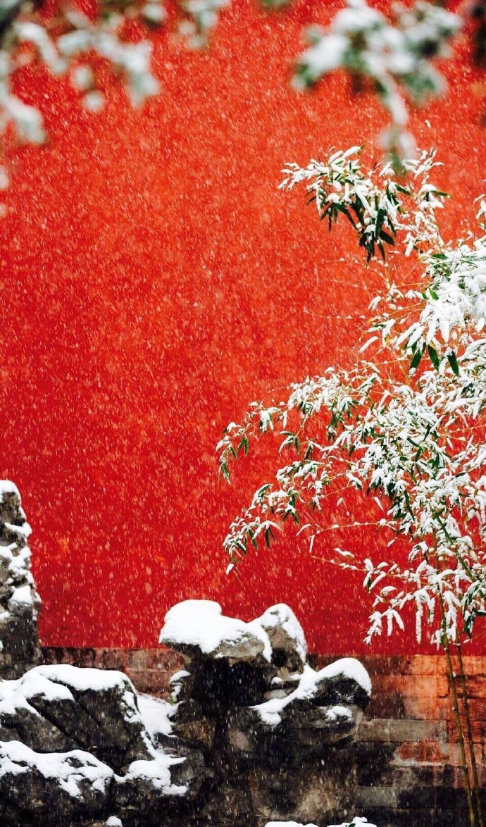 冬天雪景唯美手机壁纸图片图片