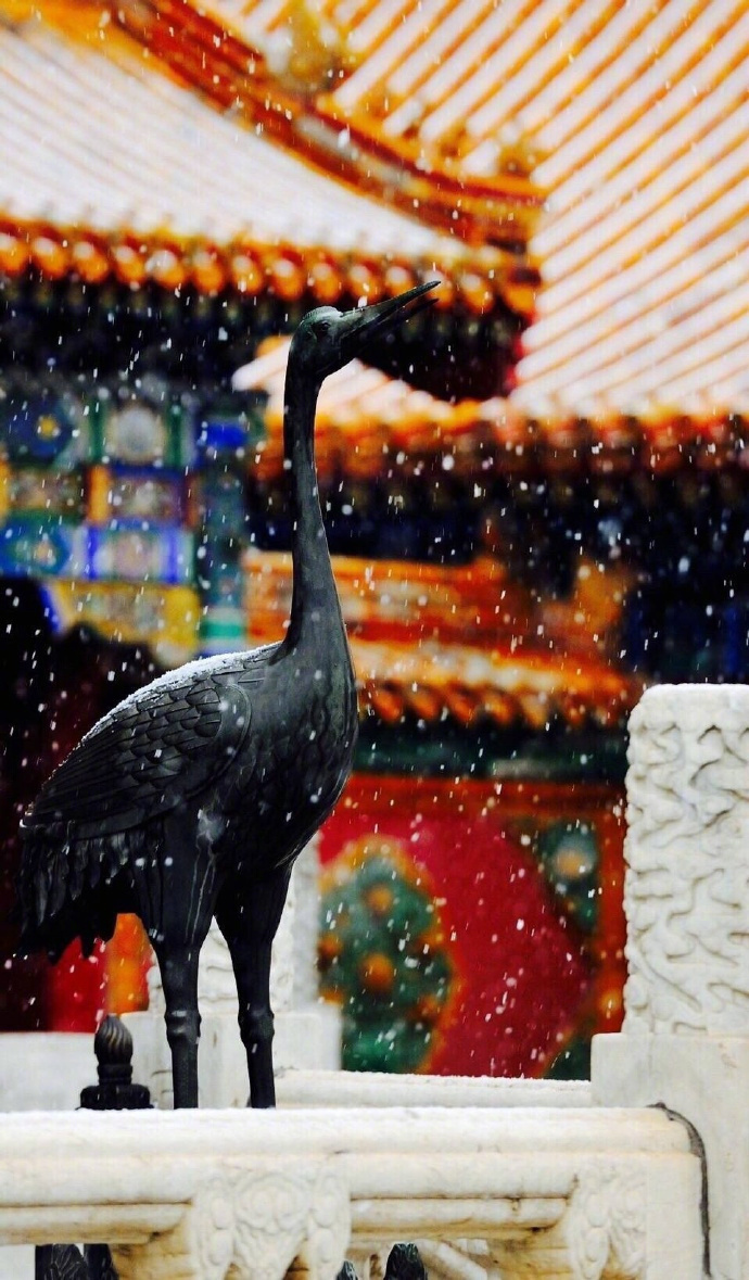 冬天雪景唯美手机壁纸图片图片