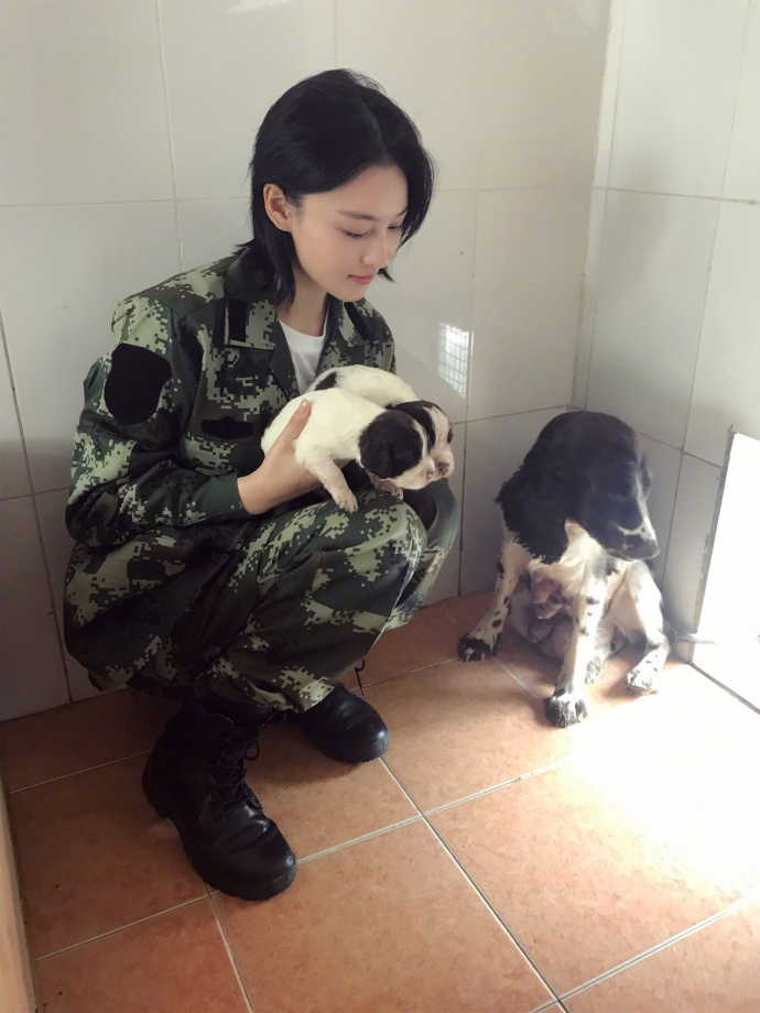 张馨予性感长裙礼服高清图片图片
