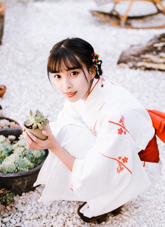 百合花图片