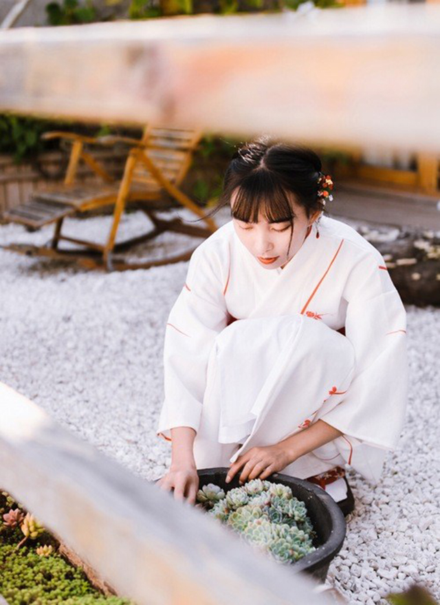 百合花图片