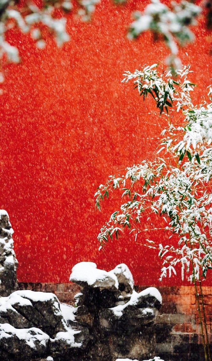 冬天雪景唯美手机壁纸图片图片