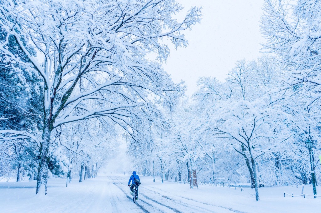 冬天雪景唯美手机壁纸图片图片
