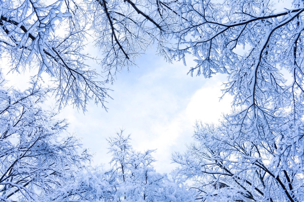 冬天雪景唯美手机壁纸图片图片