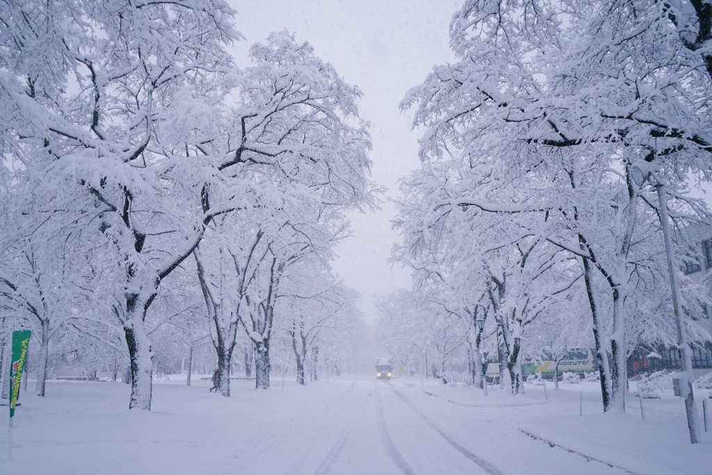 冬天雪景唯美手机壁纸图片图片