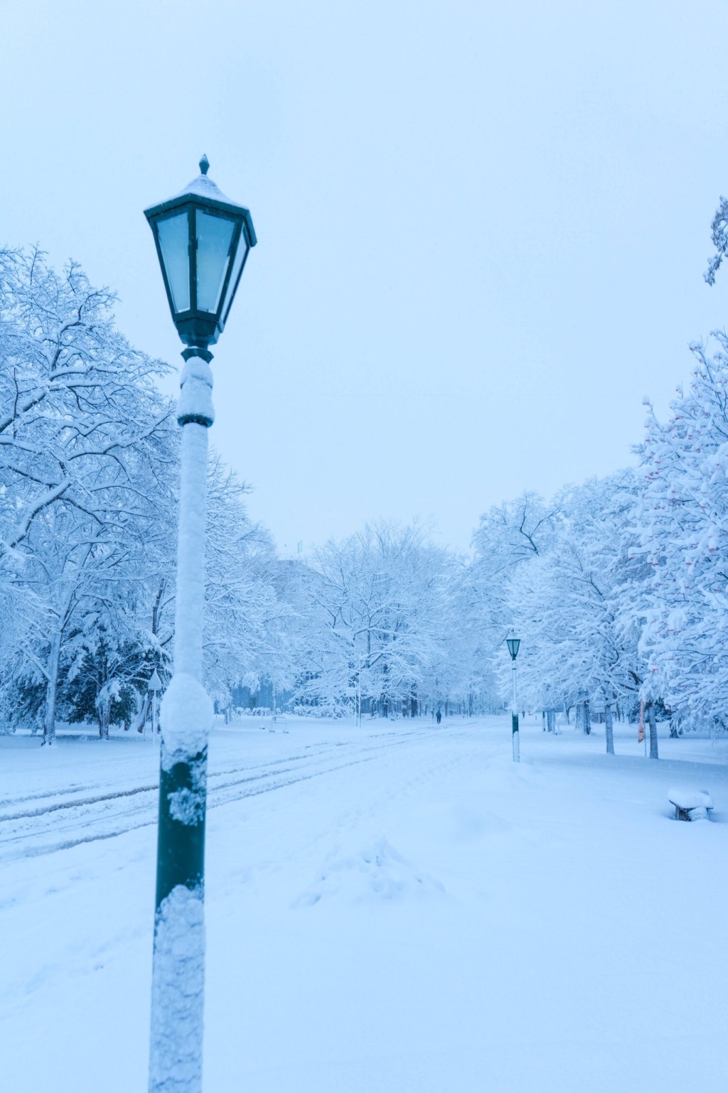 冬天雪景唯美手机壁纸图片图片