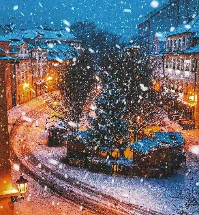 宁心露脐装雪景自拍图片图片